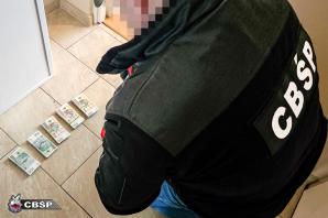 Potężne uderzenie w gang okradający tiry w Niemczech