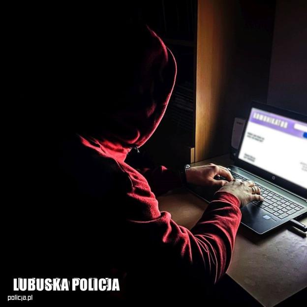 Oszust internetowy skasowany