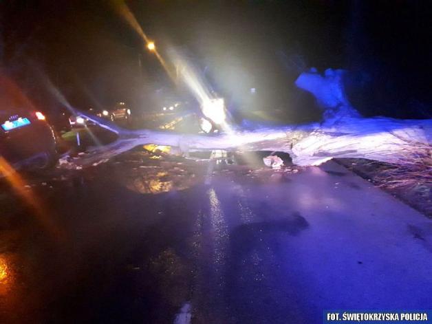 Policjanci pomagali podczas usuwania szkód jakie wyrządził Orkan Grzegorz